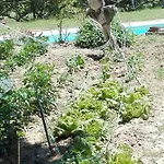 Fattoria Di Rigone * Coltavolino