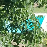 Fattoria Di Rigone