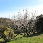 Fattoria Di Rigone Coltavolino