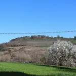 Fattoria Di Rigone Coltavolino