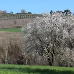 Fattoria Di Rigone