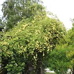 Fattoria Di Rigone Farm stay *