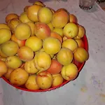 Fattoria Di Rigone *