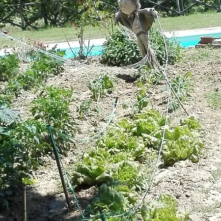 Fattoria Di Rigone * Coltavolino