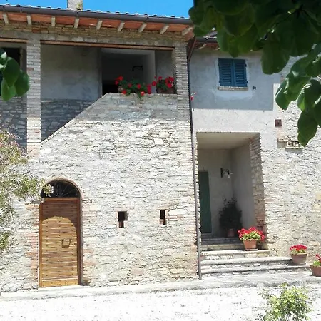 Fattoria Di Rigone