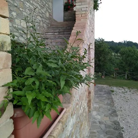 Fattoria Di Rigone *