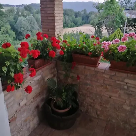 Fattoria Di Rigone Coltavolino