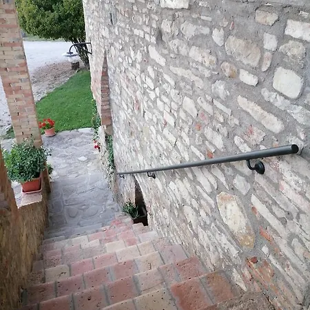 Fattoria Di Rigone *