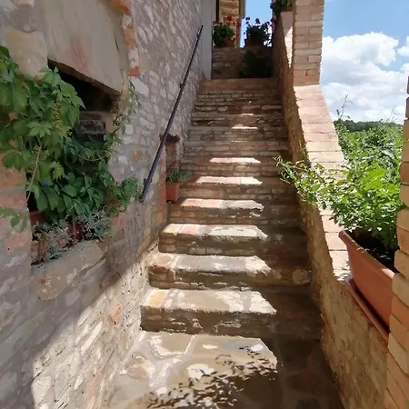 Fattoria Di Rigone Alloggio per agriturismo Coltavolino