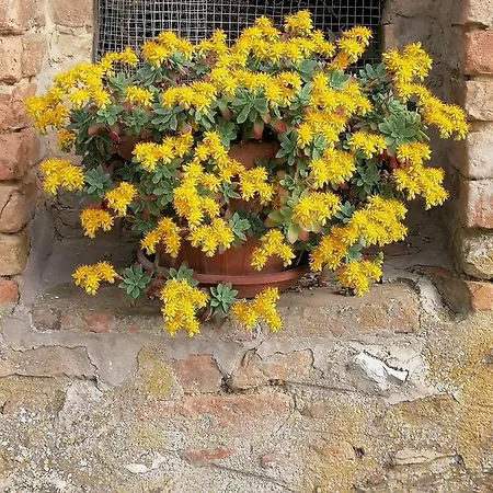 Alloggio per agriturismo Fattoria Di Rigone *
