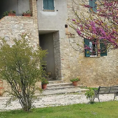 Fattoria Di Rigone Coltavolino