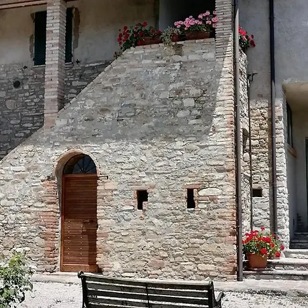 Fattoria Di Rigone Agroturismo Coltavolino