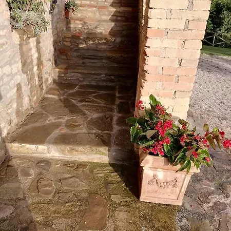 Fattoria Di Rigone Agroturismo