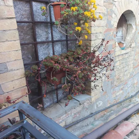 Fattoria Di Rigone Coltavolino