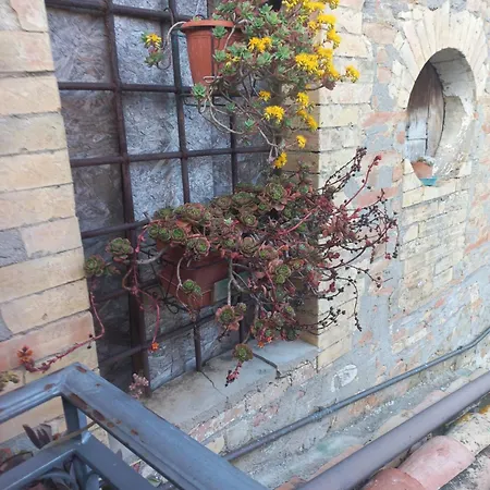 Fattoria Di Rigone Coltavolino