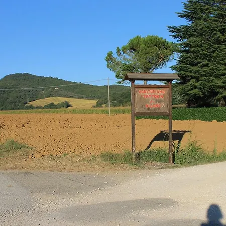 Alloggio per agriturismo Fattoria Di Rigone