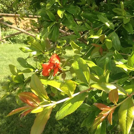 Agroturismo Fattoria Di Rigone