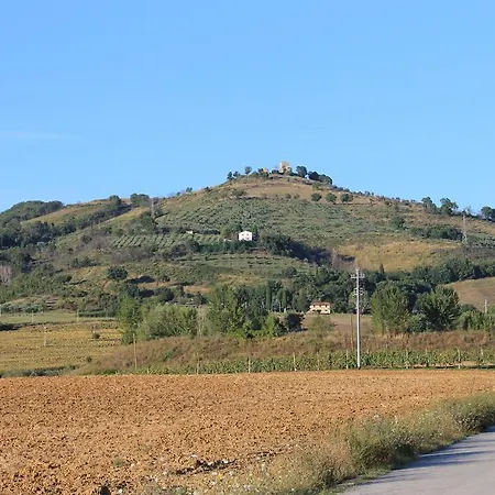 Fattoria Di Rigone Coltavolino