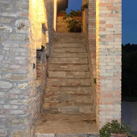 Fattoria Di Rigone Coltavolino