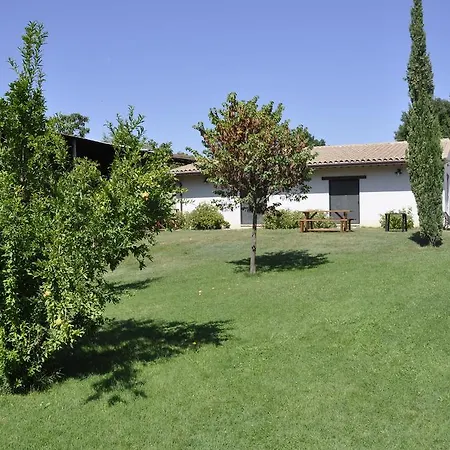 Alojamento de Turismo Rural Fattoria Di Rigone Coltavolino