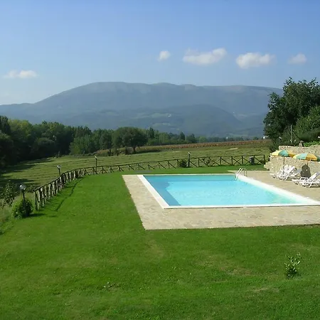 Fattoria Di Rigone
