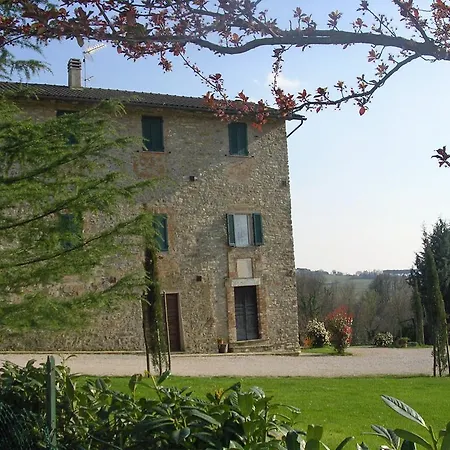 Fattoria Di Rigone Coltavolino