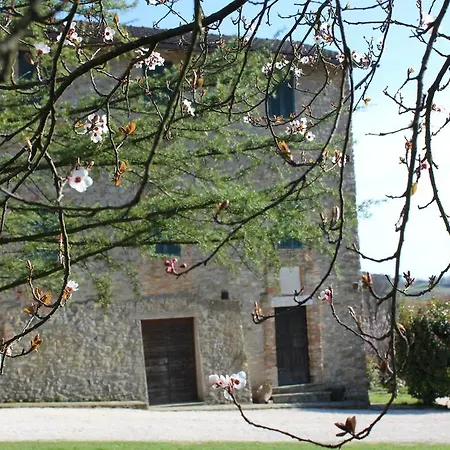 Fattoria Di Rigone Coltavolino