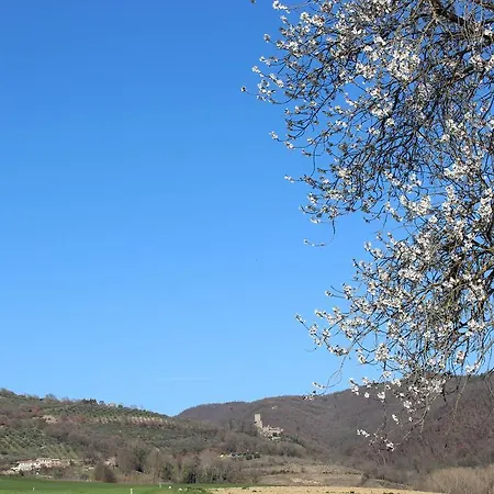 Fattoria Di Rigone Agroturismo