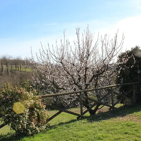 Fattoria Di Rigone Coltavolino