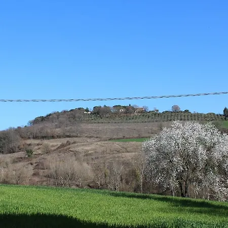 Fattoria Di Rigone Coltavolino