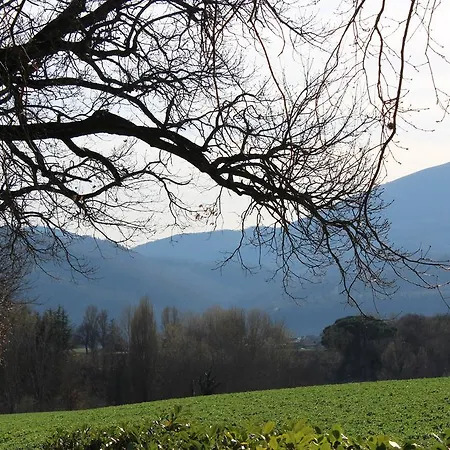 Farm stay Fattoria Di Rigone *