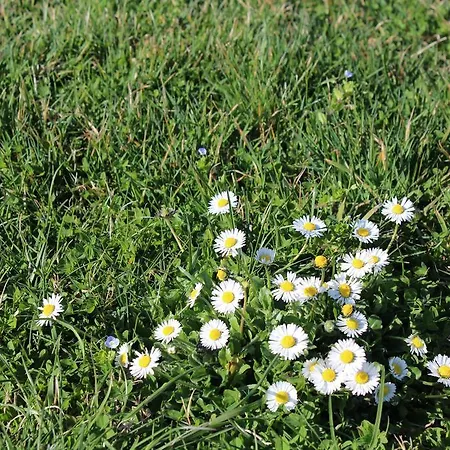 Agroturismo Fattoria Di Rigone