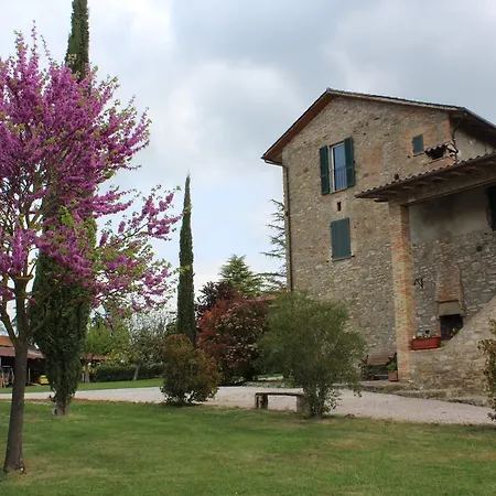 Fattoria Di Rigone Coltavolino