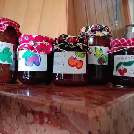 Agroturismo Fattoria Di Rigone