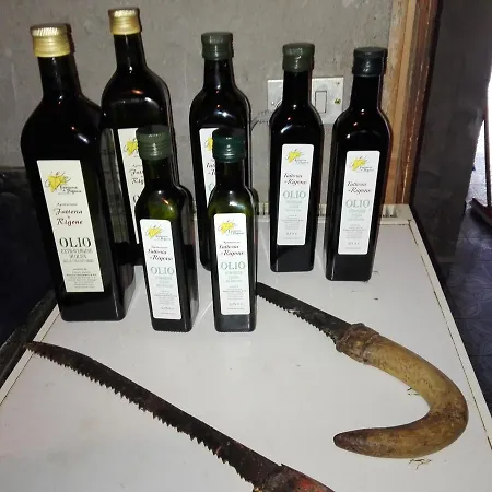 Fattoria Di Rigone Alloggio per agriturismo Coltavolino