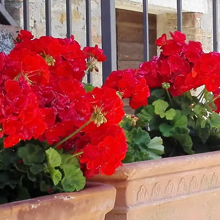 Fattoria Di Rigone Agroturismo *