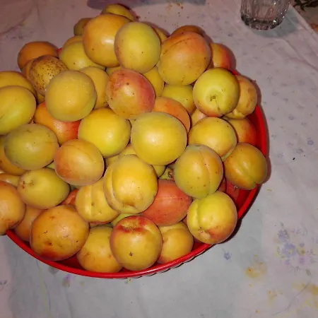 Fattoria Di Rigone *