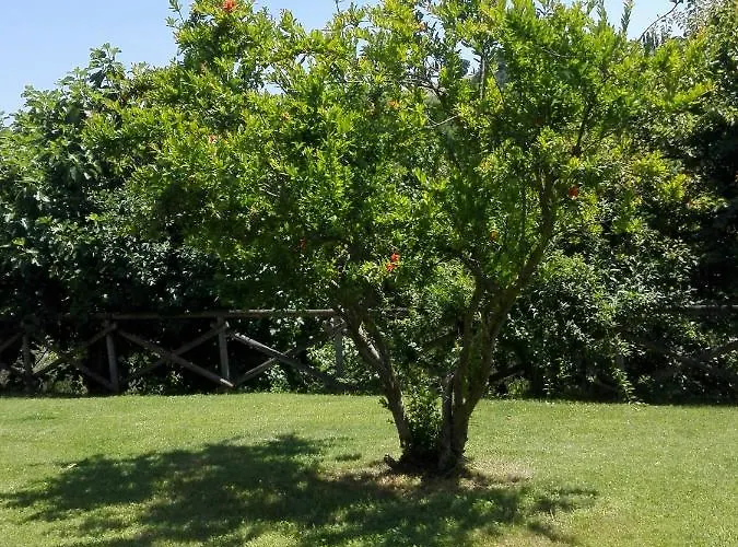 Fattoria Di Rigone Alojamento de Turismo Rural