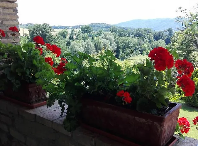 Fattoria Di Rigone * Coltavolino