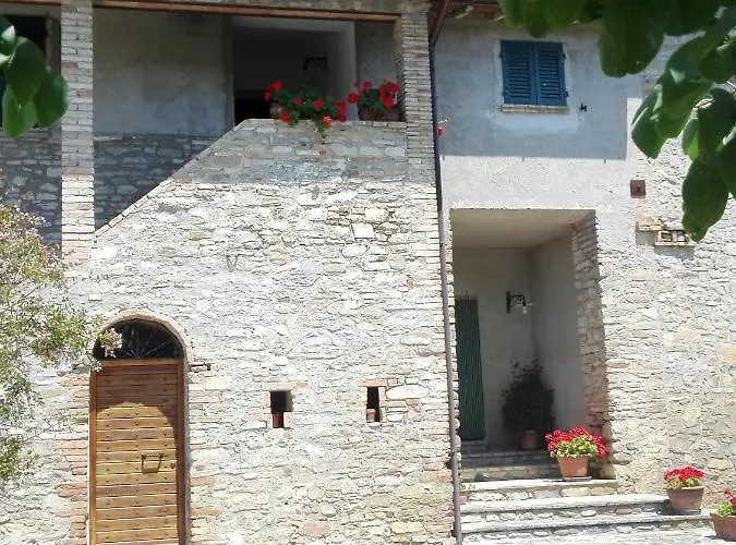 Fattoria Di Rigone