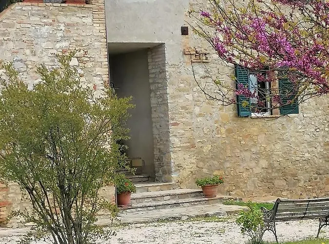 Fattoria Di Rigone Coltavolino