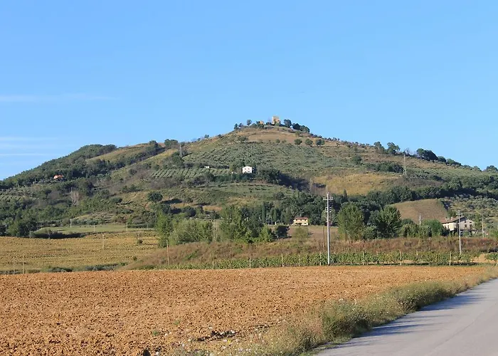 Fattoria Di Rigone Coltavolino