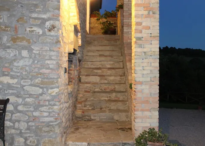 Fattoria Di Rigone Coltavolino