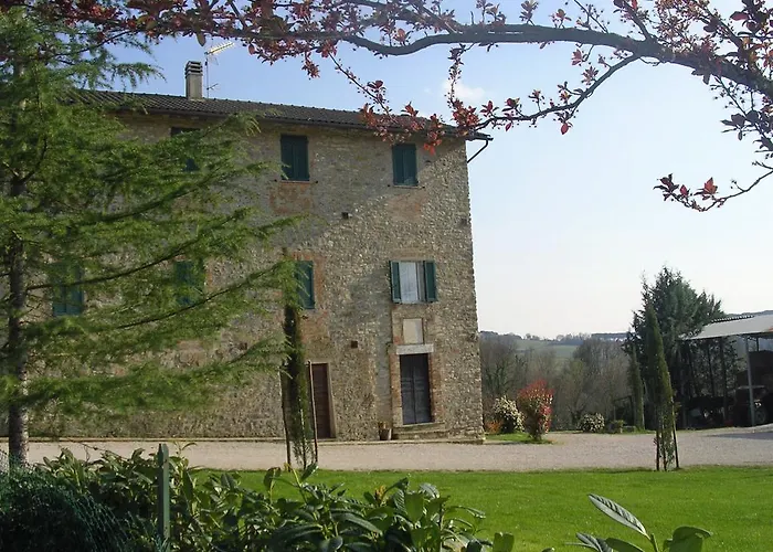 Fattoria Di Rigone Coltavolino