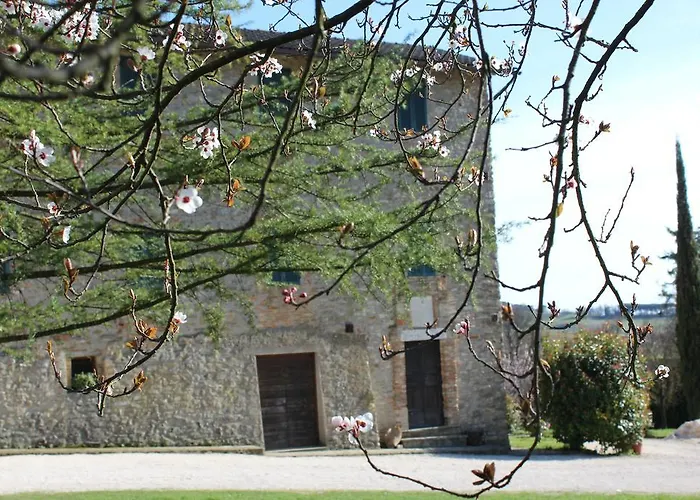 Fattoria Di Rigone Coltavolino