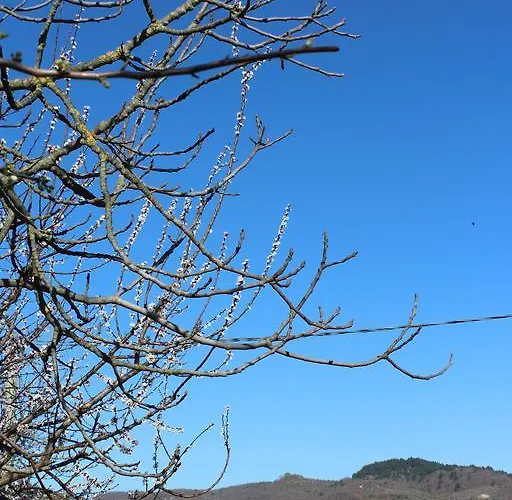 Fattoria Di Rigone Alojamento de Turismo Rural Coltavolino