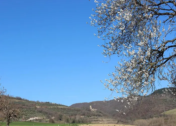 Fattoria Di Rigone Alojamento de Turismo Rural