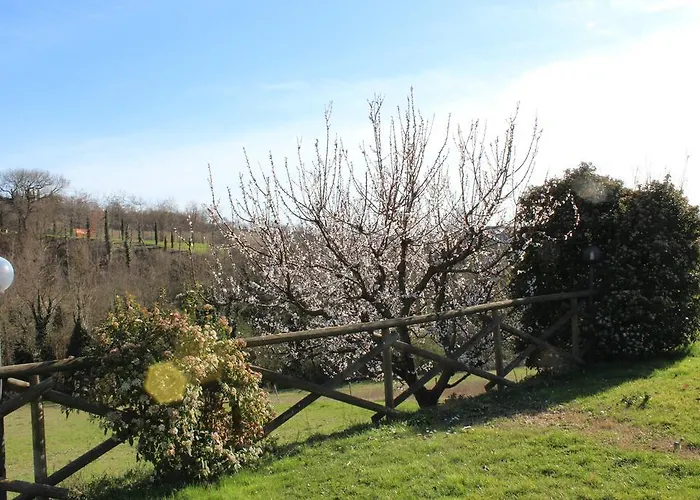 Fattoria Di Rigone Coltavolino