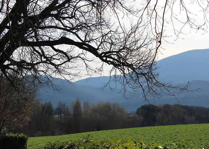 Alojamento de Turismo Rural Fattoria Di Rigone *