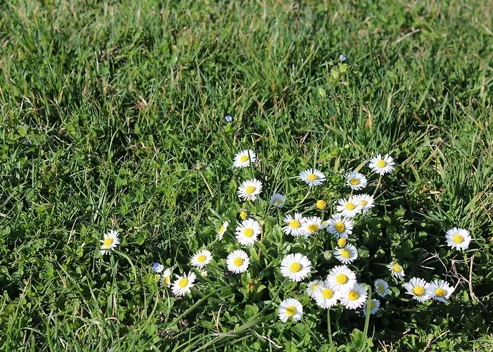 Alojamento de Turismo Rural Fattoria Di Rigone